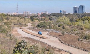 Incorporarán 16 hectáreas a la Reserva de Costanera Sur