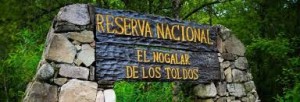 Adjudicación – Centro Administrativo “Los Toldos” – Parque Nacional BARITÚ  $12,8 Millones