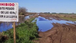 9 Ofertas para la Ruta del Cereal $ 206 Millones