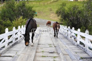 Bariloche: Reacondicionamiento del puente del lago Hess