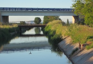 Canales de desagües del Arroyo Golondrinas