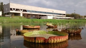 Acuario Río Paraná 64 Millones de pesos