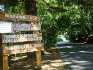 Area de Servicios – Parque Municipal Llao – Llao