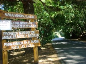 Area de Servicios – Parque Municipal Llao – Llao