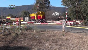 U$S 2.500 millones  para el tren de carga en Güemes