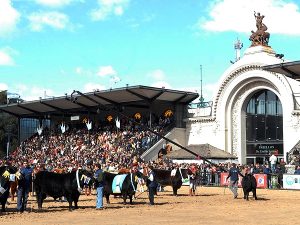 IRSA acrecienta su participación en La Rural