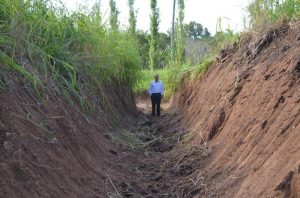 Estudian Obras de canalización y desagües en Timbúes