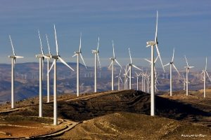Energía renovable se presentaron 123 ofertas en la licitación oficial