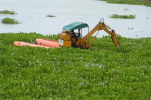 El municipio de Resistencia llama a licitación para la limpieza de lagunas