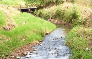 Sanearán la cuenca del arroyo La Chancha $607 Millones