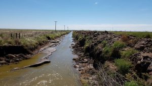 Obras Internas en la Cuenca de la Laguna La Picasa. 3 Ofertas $58 Millones