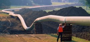 Confirman gasoductos del Cordillerano Patagónico