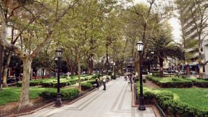 2 ofertas para la remodelación del Paseo del Siglo y la Plaza Pringles $ 55 Millones