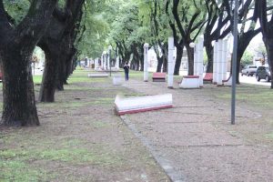 Rafaela: tres ofertas para la remodelación de canteros en avenida Ernesto Salva $ 7, 7 Millones