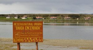 Cuatro miradores y una pasarela en la reserva natural Bahía Encerrada de Ushuaia 2 Ofertas $4 Millones
