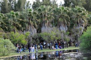 Rosario obras en el Bosque de los Constituyentes $120 Millones 6 Ofertas