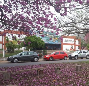 Nueva cubierta metálica en la Escuela Normal Secundaria N°5 “Domingo Faustino Sarmiento” de Federación $4,5 Millones