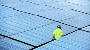 Aprueban la licitación para la construcción de cinco plantas fotovoltaícas