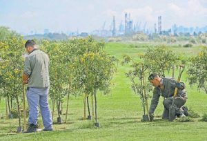 Adjudicarion a ZONIS S.A. – BRICONS el Ecoparque Socioambiental Quilmes $ 695 Millones