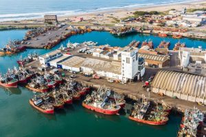 Una sola oferta para la licitación de la obra de dragado del Puerto Mar del Plata