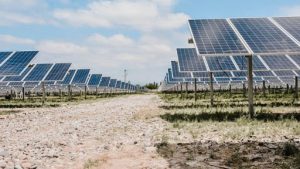 Ofertas para el parque solar El Alamito $135M