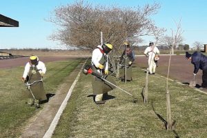 Mantenimiento anual de espacios verdes del Aeródromo Municipal de Olavarria $16M