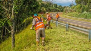 32 Ofertas Servicio de Corte de Pasto Rutas Nacionales  $1703M