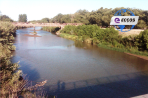Ofertas readecuación de la margen derecha del río Chocancharava en La Carlota $188M