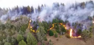 CONSTRUCCIÓN DEL EDIFICIO SERVICIO DE PREVENCIÓN Y CONTROL DE INCENDIO FORESTAL (SPMF) LAS GOLONDRINAS $117M