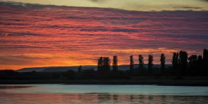 Alerta Patagonia: el grave impacto ambiental de las dos represas que amenazan a los glaciares y la biodiversidad