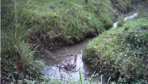 Construirán una red cloacal y una planta de tratamiento en Paso de la Patria