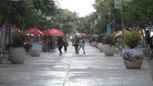 Licitación en Roca: red peatonal y arbolado