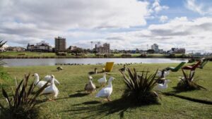 Mar del Plata: vuelven a llamar a licitación para el Parque Ambiental