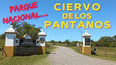 PARQUE NACIONAL CIERVO DE LOS PANTANOS