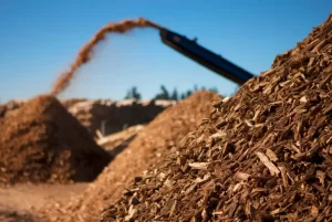 Municipio de 25 de Mayo – Construcción de una planta de energía de biomasa