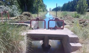Avanza la modernización del sistema de riego en el Valle Medio